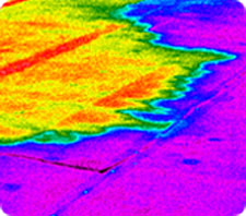 Thermogram